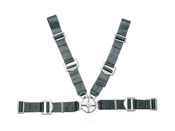 Gadringer 4-point seatbelts