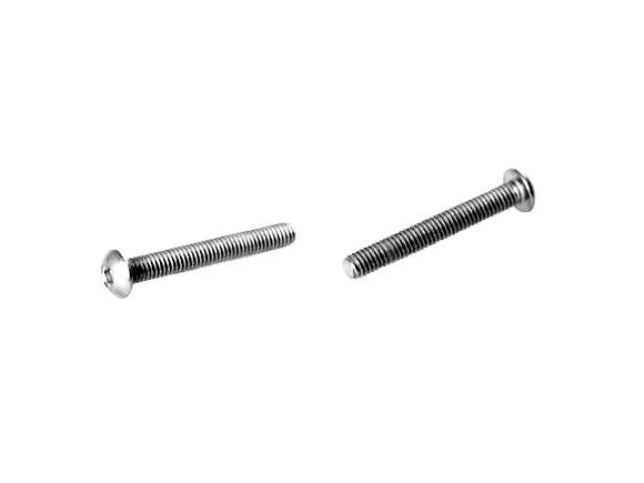 Instrument bolt RVS Allen