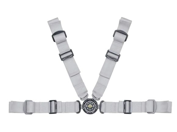 Schroth 4-point seatbelts